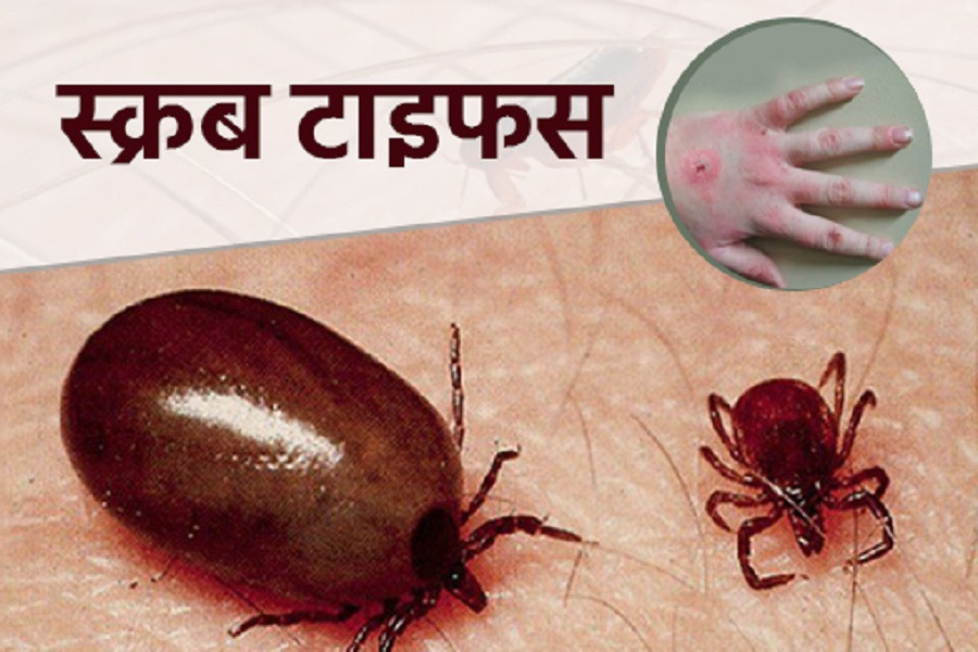 गोरखाको चुमनुब्रीमा ठुलो पहिरो, सतर्कता अपनाउन आग्रह