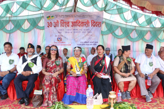 आदिवासी जनजातिको शसक्तिकरणको लागि राज्यले लगानी गर्नुपर्छ : सांसद चौधरी