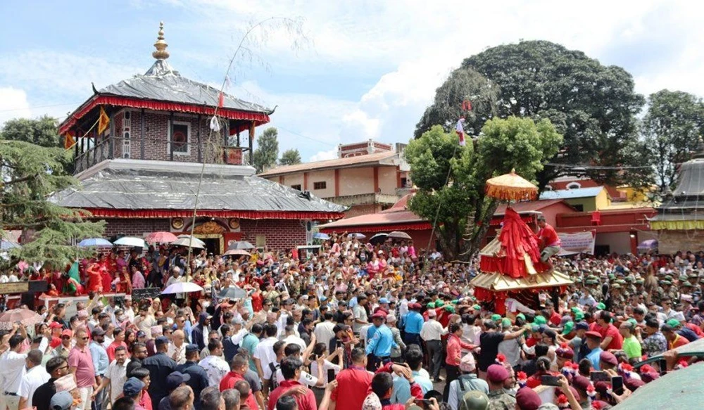 लगानी कम, आम्दानी मनग्ये : व्यवसायिक फूल खेतीमा रमाउँदै पाल्पाली किसान