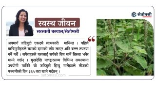 तीजको पञ्चमीमा हिन्दु नारीले सेवन गर्ने अपमार्गका पाँच फाइदा