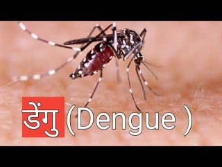 डेंगीबाट बच्ने उपाय सम्बन्धि देवदह नगरपालिकाको सचेतनामुलक सूचना