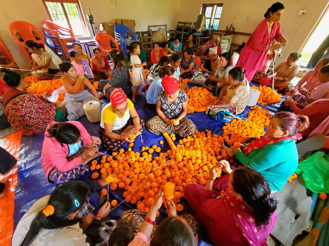 पोखरामा सयपत्री फूलको मूल्य: एक थुङ्गाको दुईदेखि पाँच रूपैया, प्रतिकेजी चार सय
