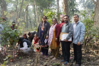 जनप्रिय सामुदायिक वन देवदहले यस बर्ष १३ हजार क्यूफिट काठ संकलन गर्ने