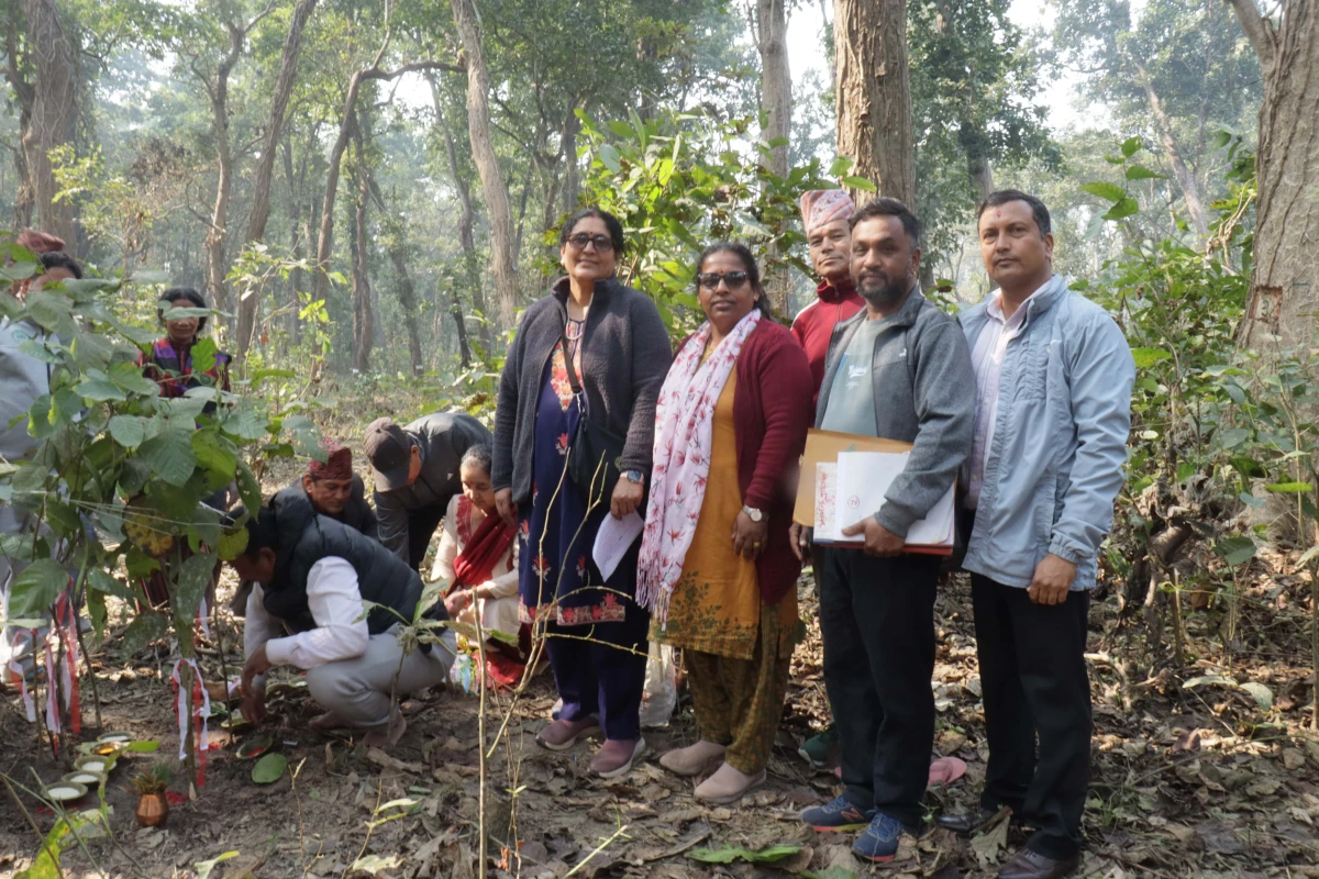 जनप्रिय सामुदायिक वन देवदहले यस बर्ष १३ हजार क्यूफिट काठ संकलन गर्ने