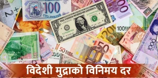 अमेरिकी डलर र युरोको भाउमा उतारचढाव, अन्य मुद्रामा सामान्य स्थिरता