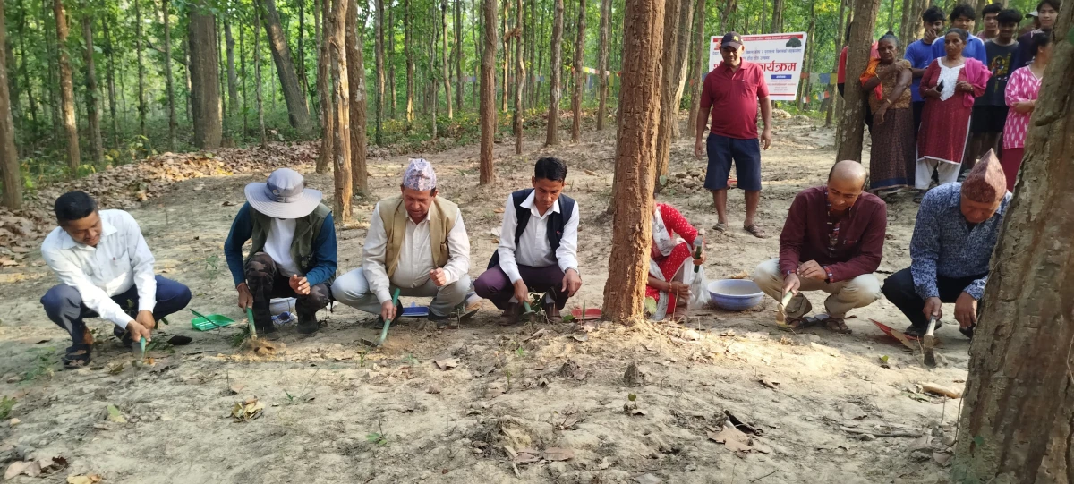त्रिशूलीमा अवैध बालुवा र गिट्टी उत्खनन तत्काल रोक्न सांसद आशिका तामाङको निर्देशन