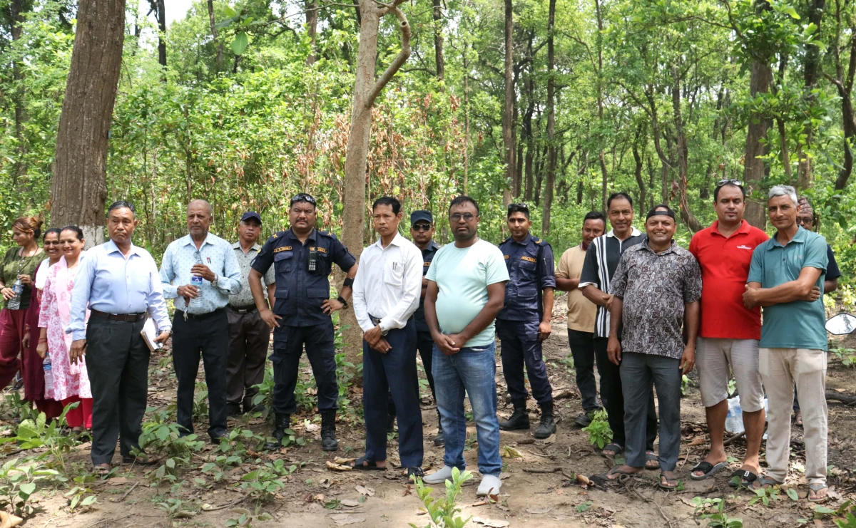 बुद्ध सामुदायिक वन देवदहले यस बर्ष झण्डै चौविस हजार क्यूफिट काठ संकलन गर्ने