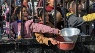 गाजाको सहायता वितरण केन्द्रमा इजरायलको आक्रमण,  चार जनाको मृत्यु