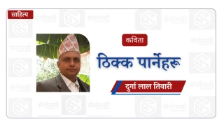 कविता : ठिक्क पार्नेहरू