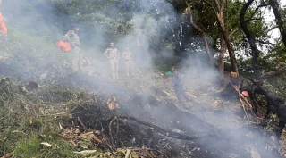 उत्तरखण्डमा हेलिकप्टर दुर्घटनामा सात  जनाकै मृत्यु