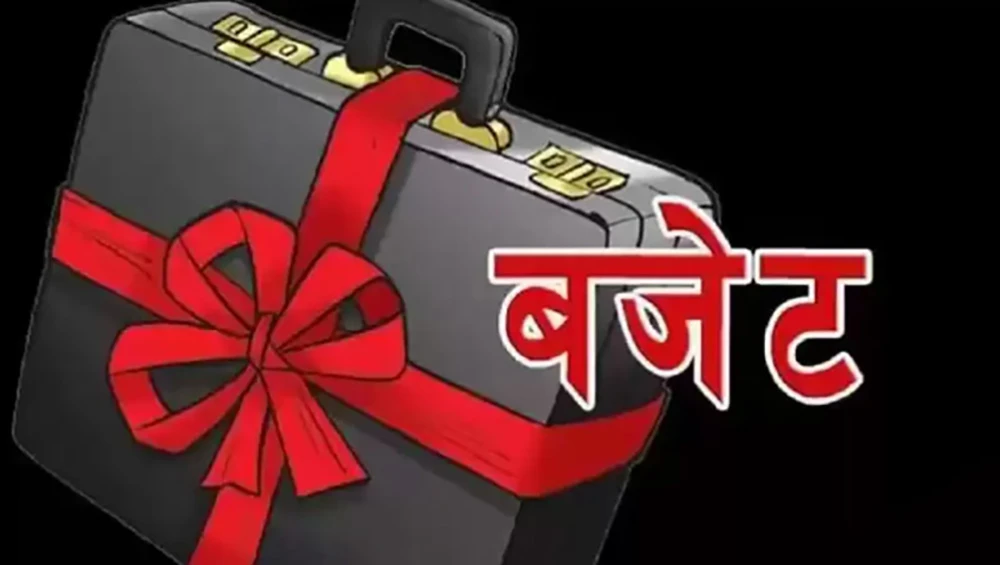 अहिलेसम्म ३४५ स्थानीय तहले मात्र बुझाए बजेट विवरण