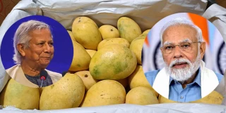 बंगलादेशको 'आँप कूटनीति': मोदीलाई पठायो तीन हजार किलो आप