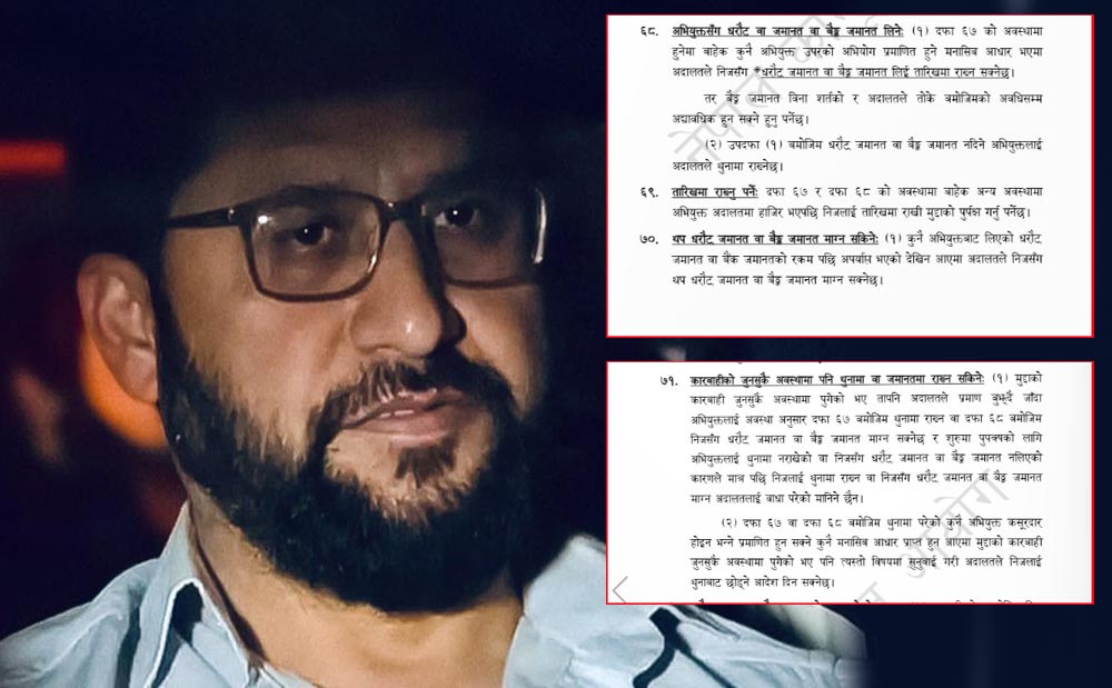 रवि लामिछानेको थुनामुक्तिका लागि अदालतमा निवेदन