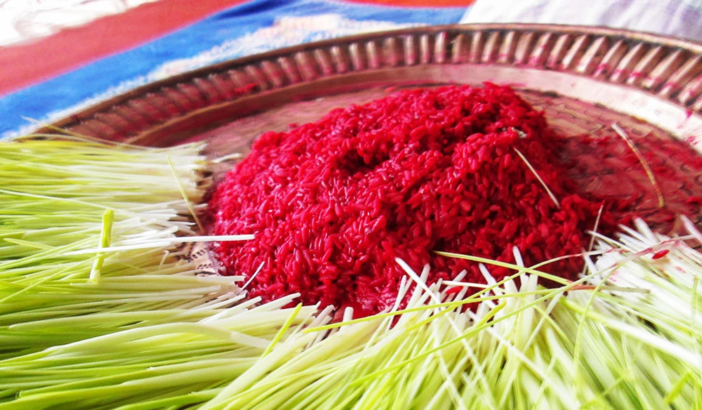 बडादशैं: आज कात्यायनी देवीको पूजाआराधना गरिदै