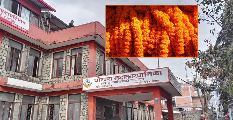 जीर्ण फ्लेक्स र साइनबोर्ड सात दिनभित्र हटाउन पोखरा महानगरको निर्देशन