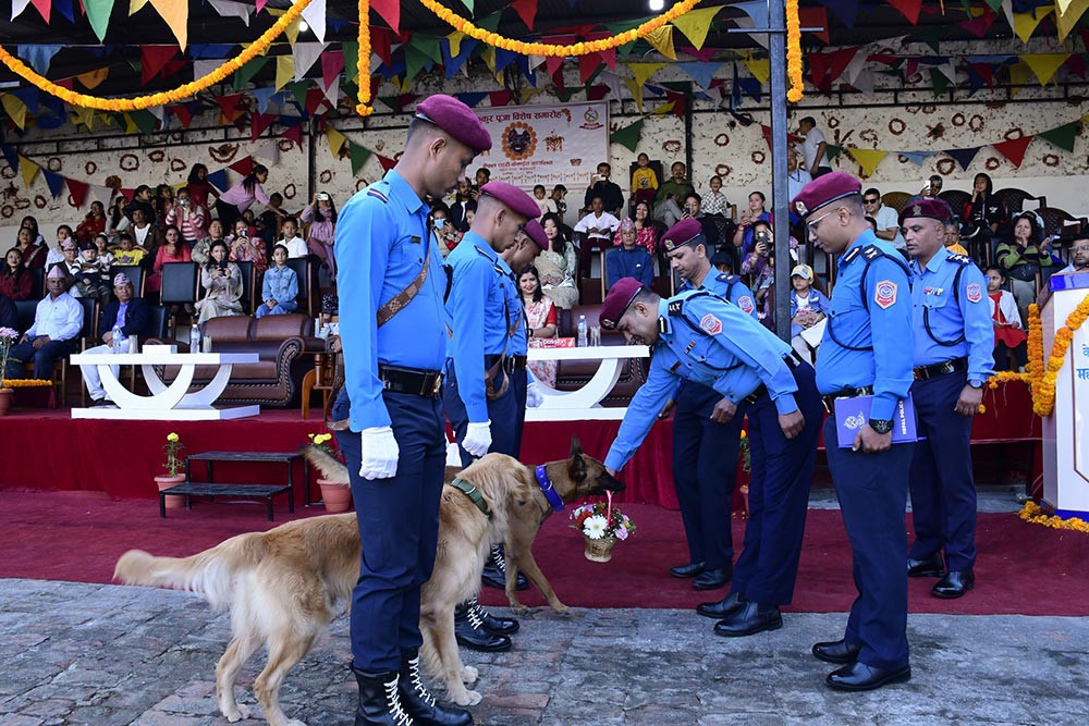 आज कुकुर तिहार र लक्ष्मीपूजा मनाइदै
