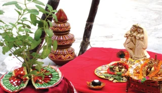 आज हरिबोधिनी एकादशी,  'तुलसीको विष्णुसँग विवाह' गरिदै