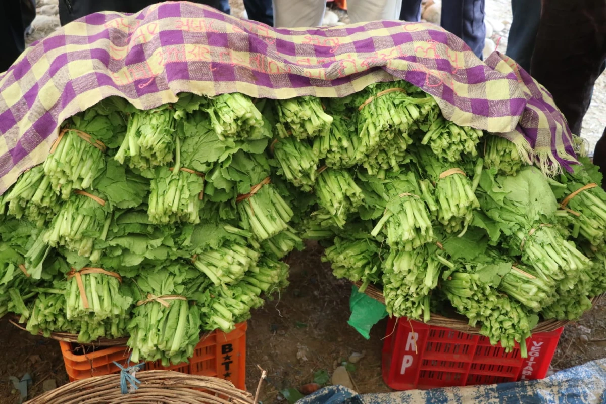 रिडीबजार अनुगमन : पसलमा मूल्यसूची छैनन्,  अधिकांश पसल अनुमतिबिना संचालन