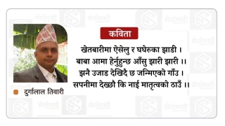 फर्क युवा, फर्क स्वदेशमा