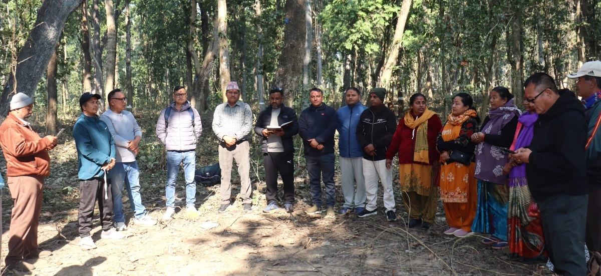 जनप्रिय सामुदायिक वन देवदहले यस बर्ष १३ हजार क्यूफिट काठ संकलन गर्ने
