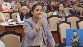 नेपालले भारतको कुन भूमि मिच्यो जानकारी गराउन काँग्रेस सांसद बासना थापाको माग