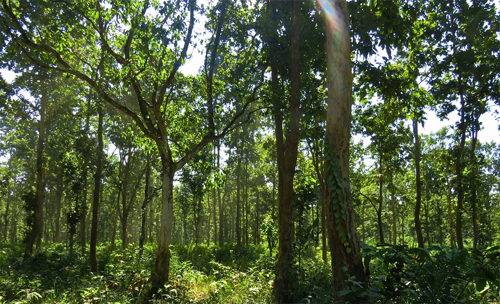 बैतडीमा दुईजना मृत फेला