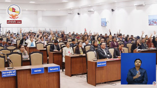 प्रतिनिधि सभाबाट आगामी आर्थिक वर्षको बजेट पारित