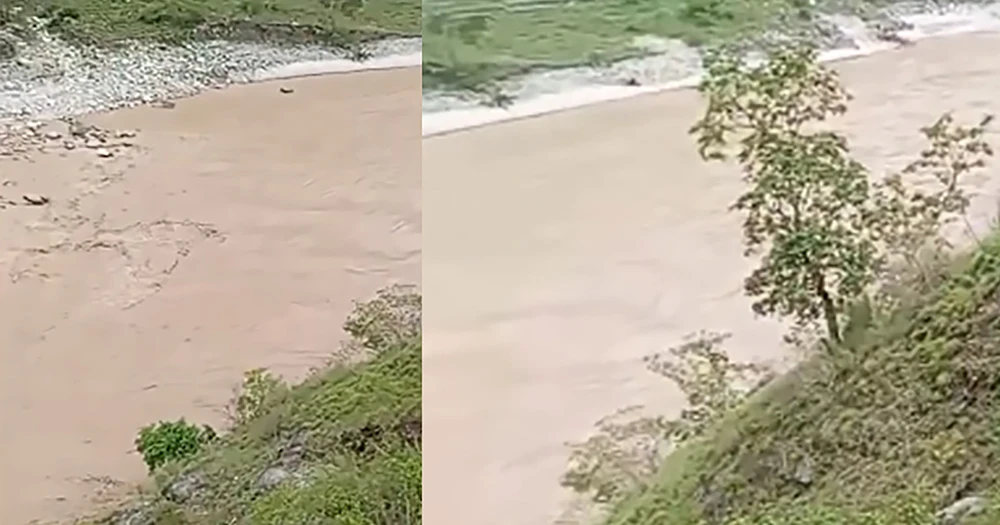 कर्णालीको मुख्यमन्त्रीमा शाहीको दाबी पेश