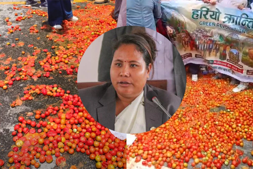 टमाटर किसानसँग मन्त्री गिता चौधरीको छलफल