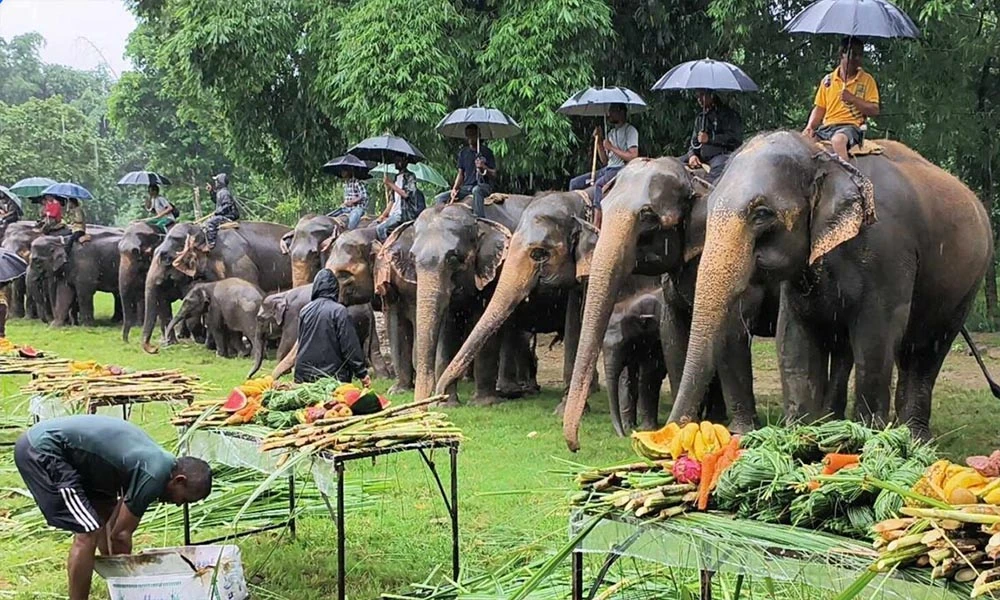सौराहाको रोजगारी र आयको मुख्य स्रोत पर्यापर्यटन