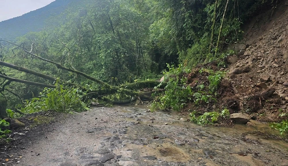 सडकमा बच्चा जन्माएको घटनाको छानबिन गर्न मन्त्रालय र काउन्सिलको टोली राजविराज जाँदै