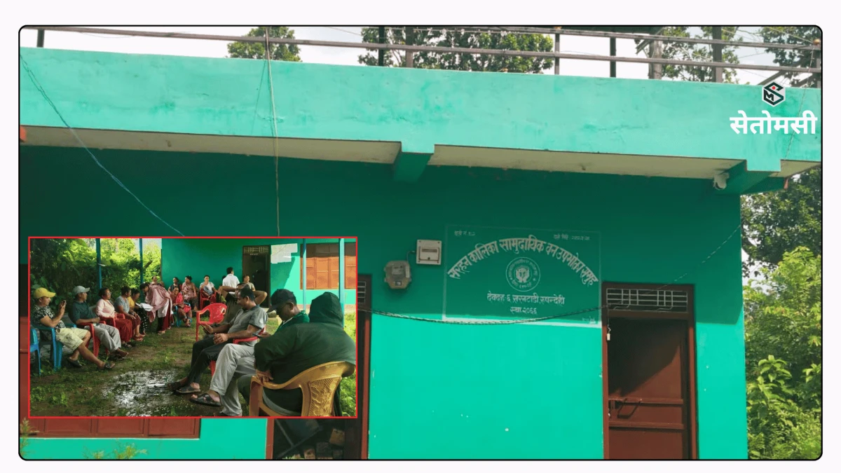 सरहन कालिकामा आधा करोड बढीको काठ दाउरा लिलाम बिक्री